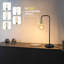 Phenomenon Black Metal Table Lamp 