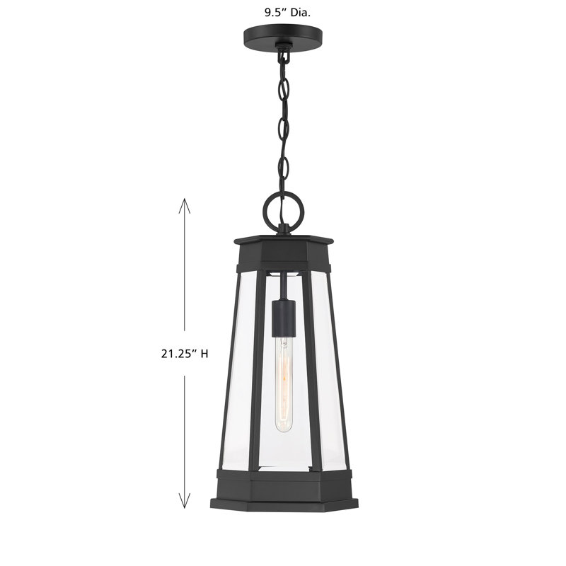 Oaklawn 1-Light Outdoor Hanging Lantern in Matte Black