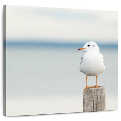 Brampt Perched White Seagull