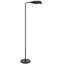 Lampe sur pied 60 watts Jayson