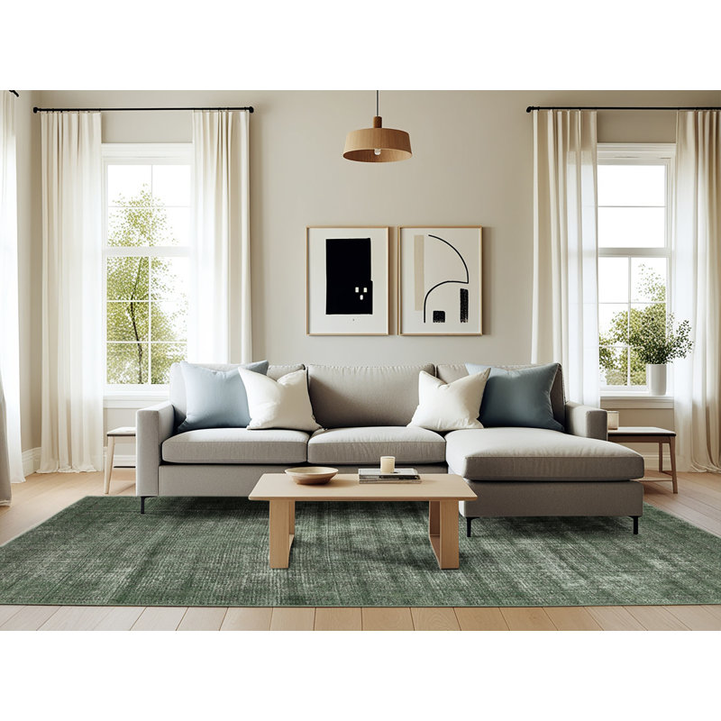 Oriental Indoor Rug, Rectangle 6' x 9'