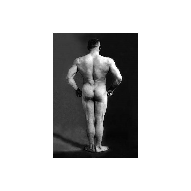« bodybuilder back », reproduction de photo