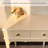 Tanno Vanity