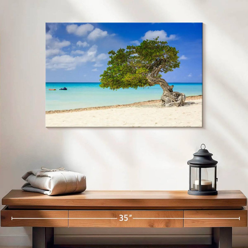 Arbre Aruba Gillard Divi Divi, H 16 po x l 24 po