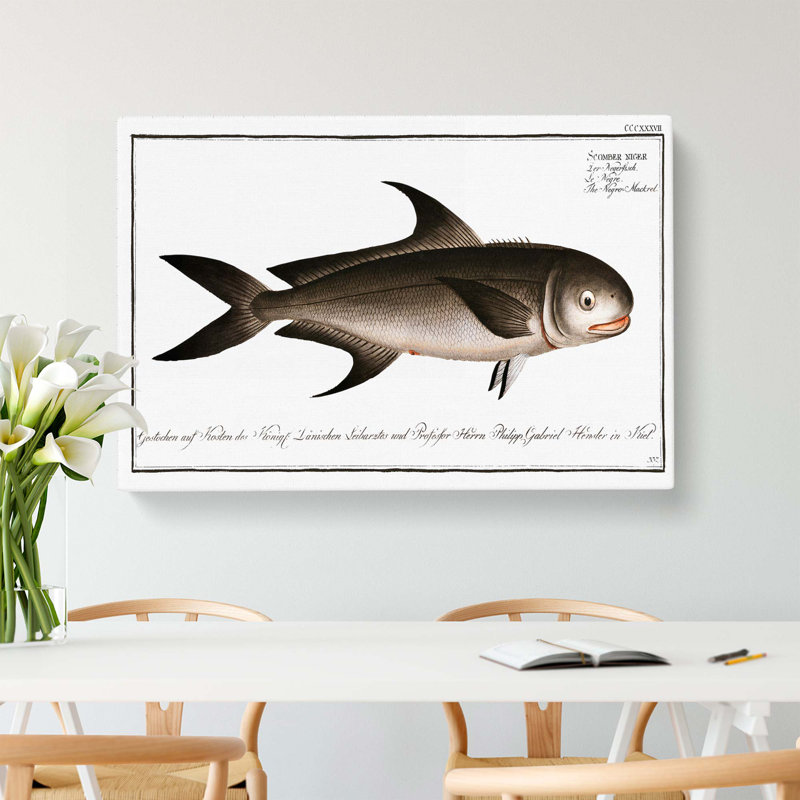 Black Mackerel Fish by M.E. Bloch - Wrapped Canvas, 35cm H x 50cm W x 3cm D