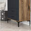 Berend 2 Door Manufactured Wood Wardrobe-940120375
