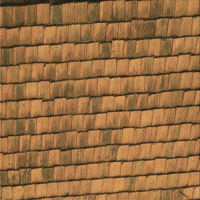 Performance Wool Indoor Rug
