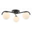Raegen Glass Flush Mount