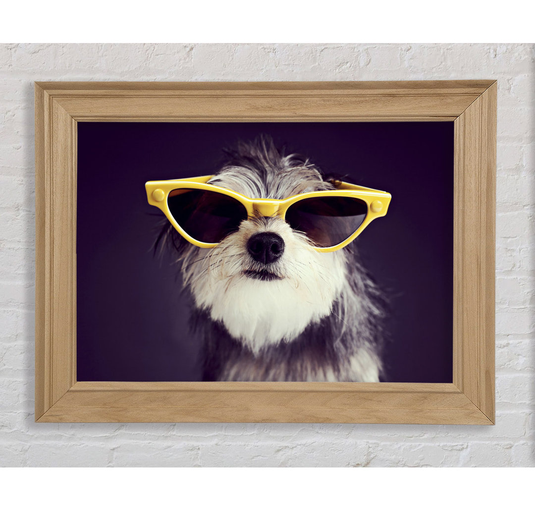 Sonnenbrille Hund Pooch Gerahmter Druck Wandkunst