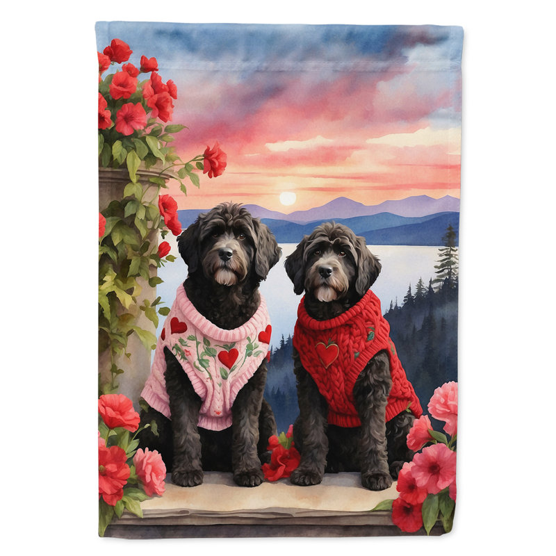 Double Sided 40'' H x 28'' W Polyester Valentine's Day House Flag