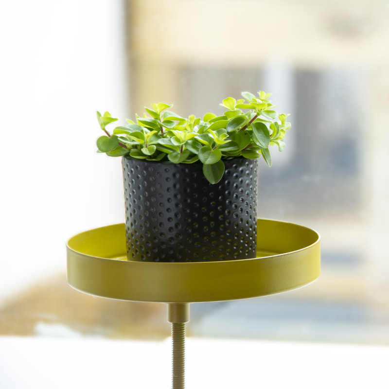 Windowsill Clamp, Gold, 20.9cm H x 14cm W x 14cm D