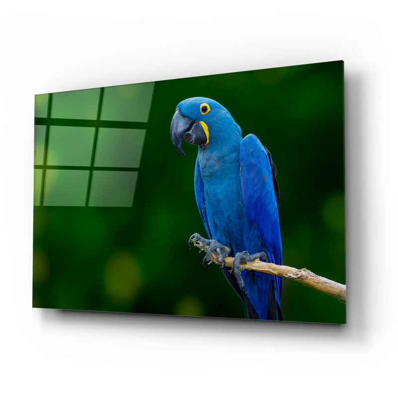 «Lark Manor ™» par Jonathan Ross, art mural en verre acrylique, 16 po x 12 po, H 16 po x l 24 po x P 0,2 po