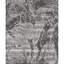 Area Rug in Gray/Light Gray-70053333
