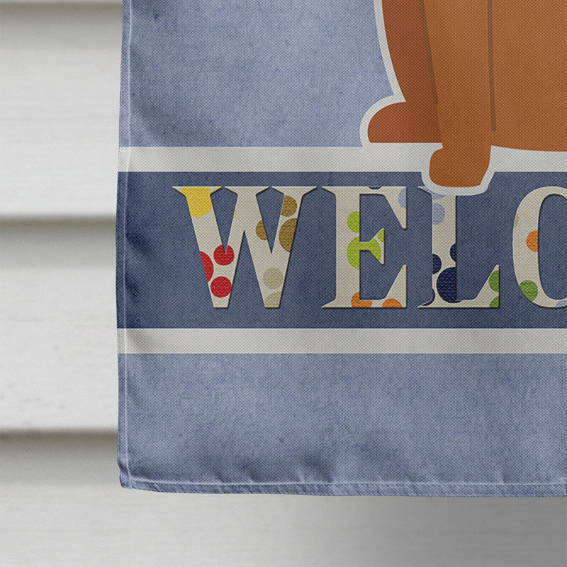 Polyester 2 côtés 40 x 28 po welcome drapeau maison, Chien chinois de Chongqing