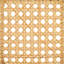 Chaney Rattan Dining Chair-1041996407