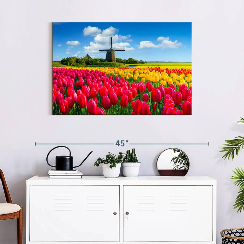 Alvord Holland Tulip Field, 24" H x 36" W