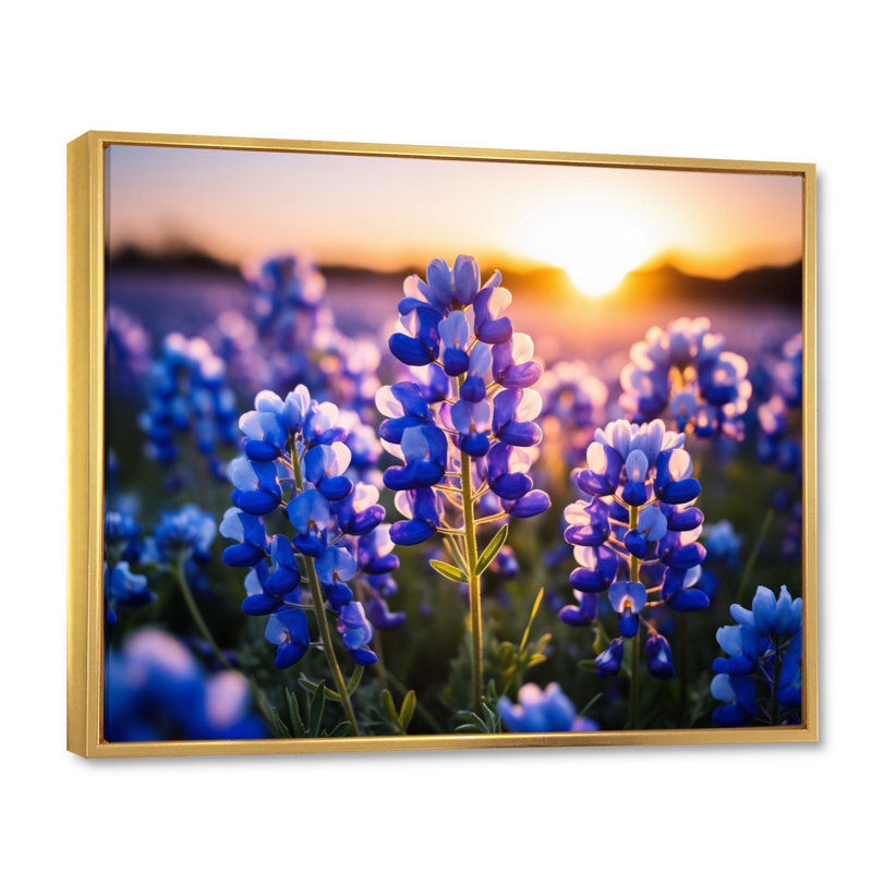 «Blue Bonnets Field Photo I», art sur toile Blue Bonnets, Cadre flottant doré, H 30 po x l 40 po x P 1,5 po