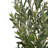 6' Artificial Olive Tree with Plastic Pot