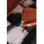 Solu Night Area Rug-573898230