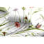 Femality Satin Floral Duvet Cover Set with Pillowcases-37027284