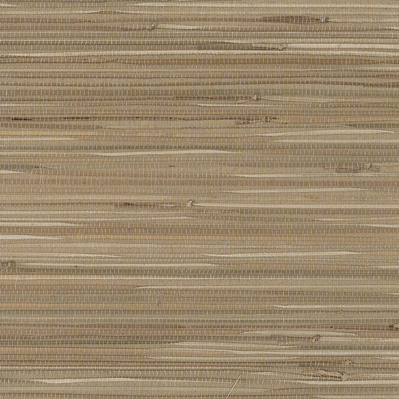 Regular Buddle Wallpaper, Cream / Brown
