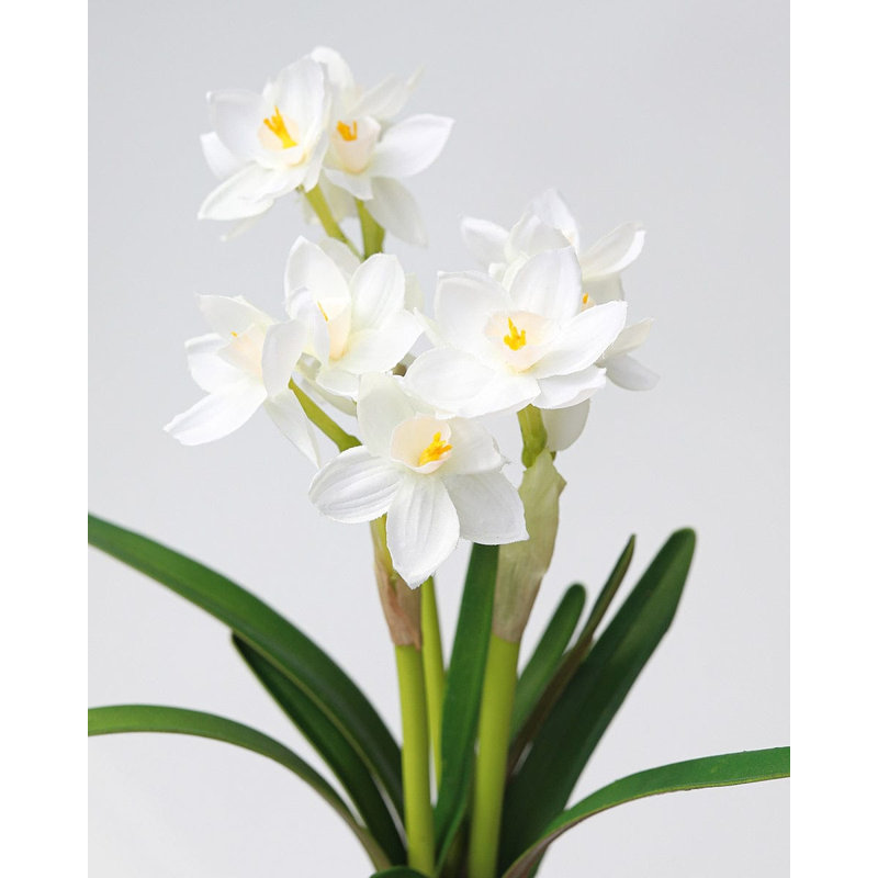 Real Touch White Narcissus 13”