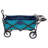 Beach Wagon Carts-109703882