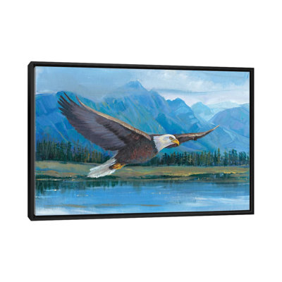 " Eagle Soaring " by Timothy O' Toole