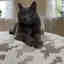 Photos des clients 3 de 3