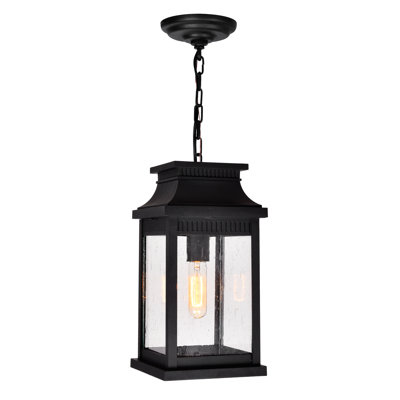 Luminaire suspendu d'extérieur noir 1 lumière Biergh