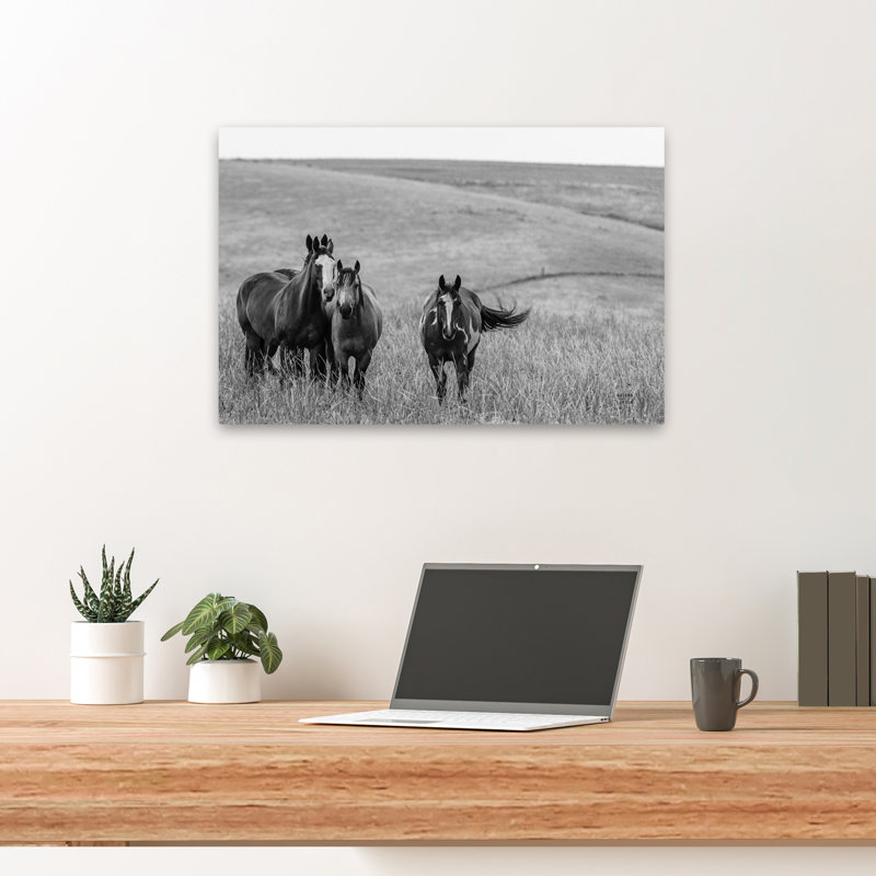 Contemporary Montana Moves Crop, H 24 po x l 16 po