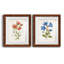 «Botanical I», ensemble de 2 reproductions d'art-271774458-271774467-271774477