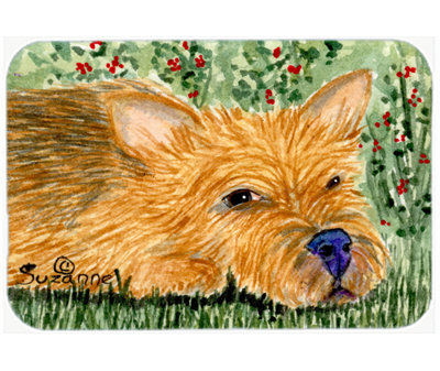 East Urban Home Norwich Terrier Glass Cutting Board
