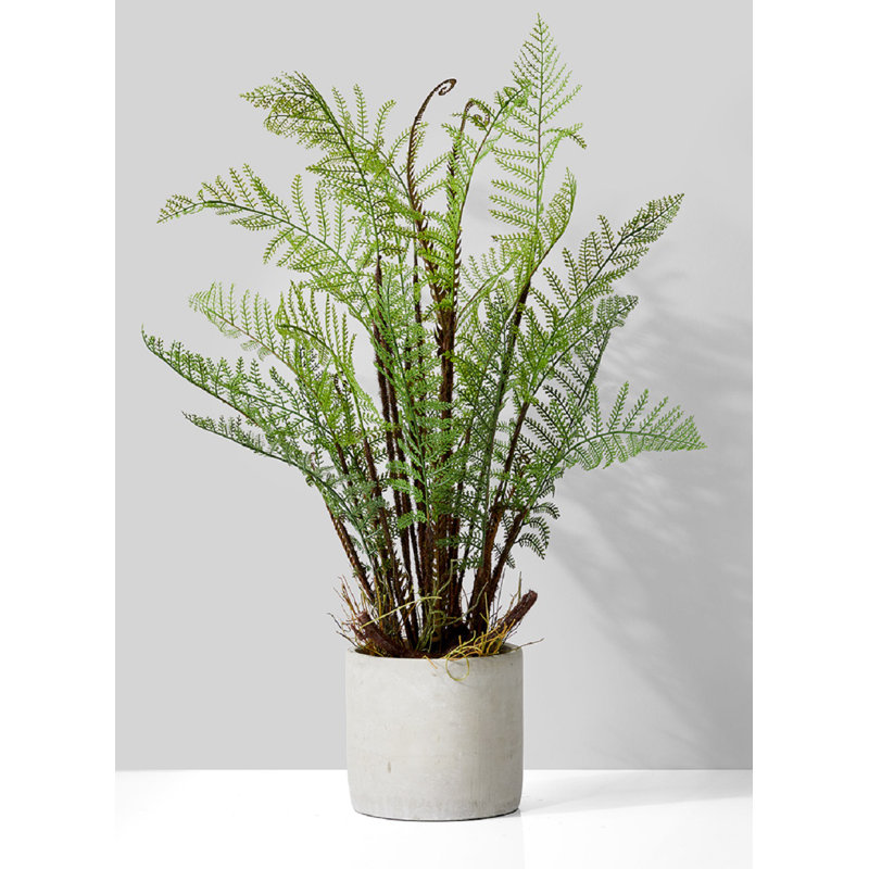 26'' Succulent Plant in Stone Pot