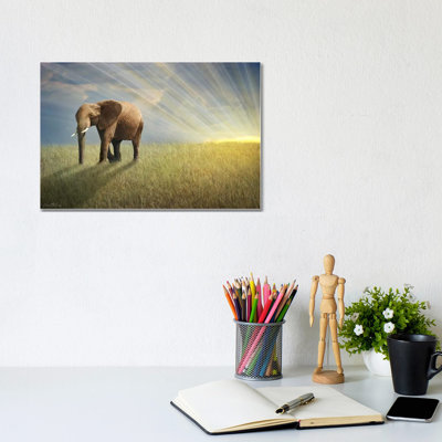 Walk With The Light by Ben Heine - Wrapped Canvas Painting