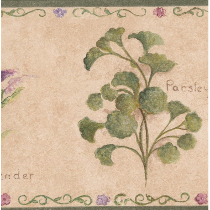 Bordure de papier peint floral et botanique L 15 pi 5,25 po Boothe Spice Plants Kitchen, Beige