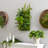 Mixed Foliage Artificial Living Wall