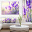" Purple Lavender Field "-18437061