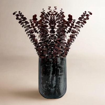 Dried Preserved Baby Eucalyptus Stems