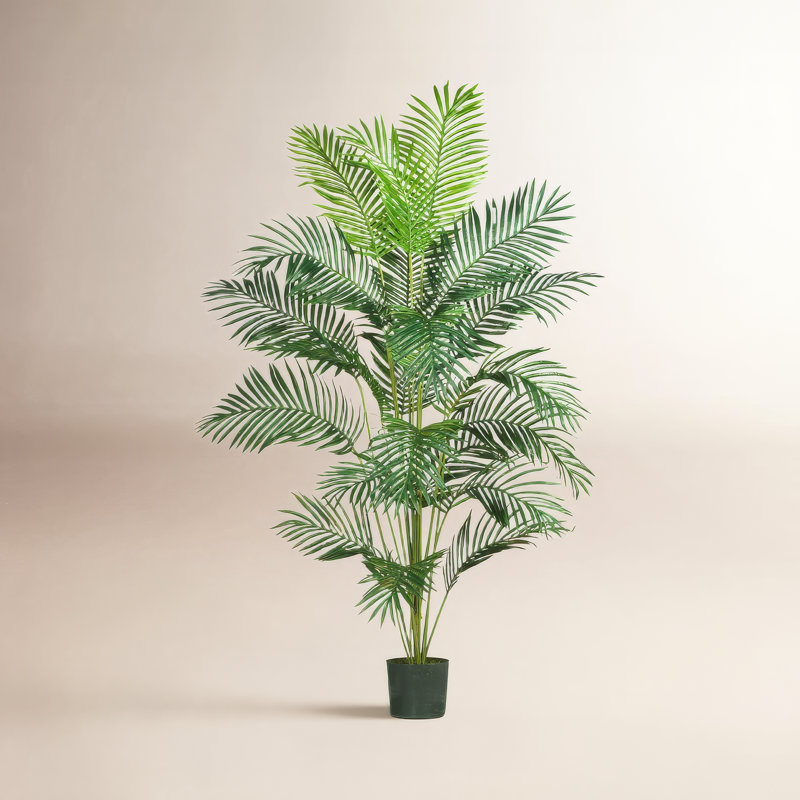 Palm Tree with Base Included, 72" H x 52" W x 47" D