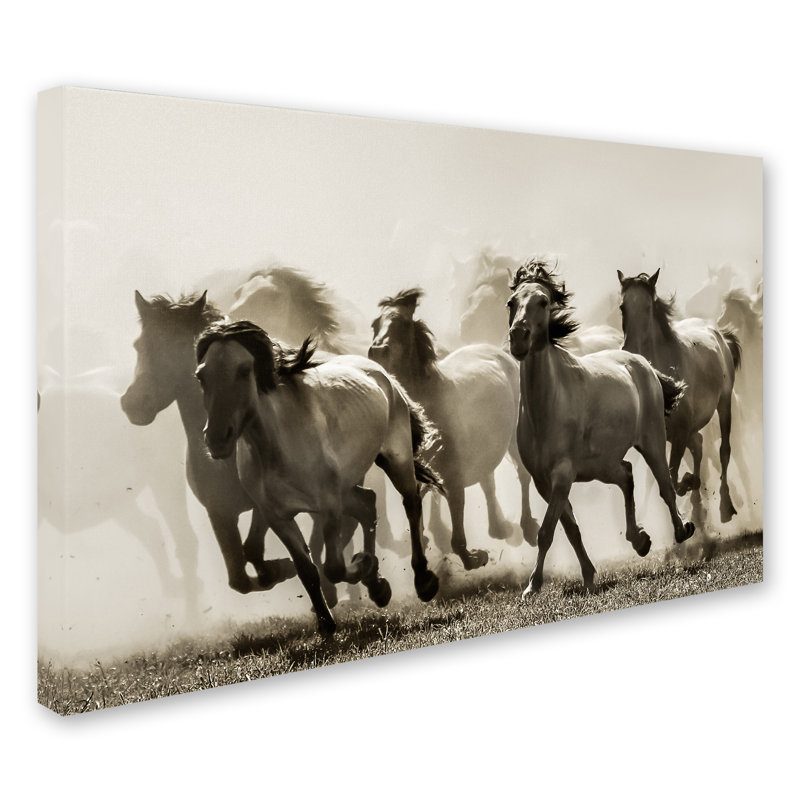 « cheval », reproduction de photo sur toile tendue, H 30 po x l 47 po