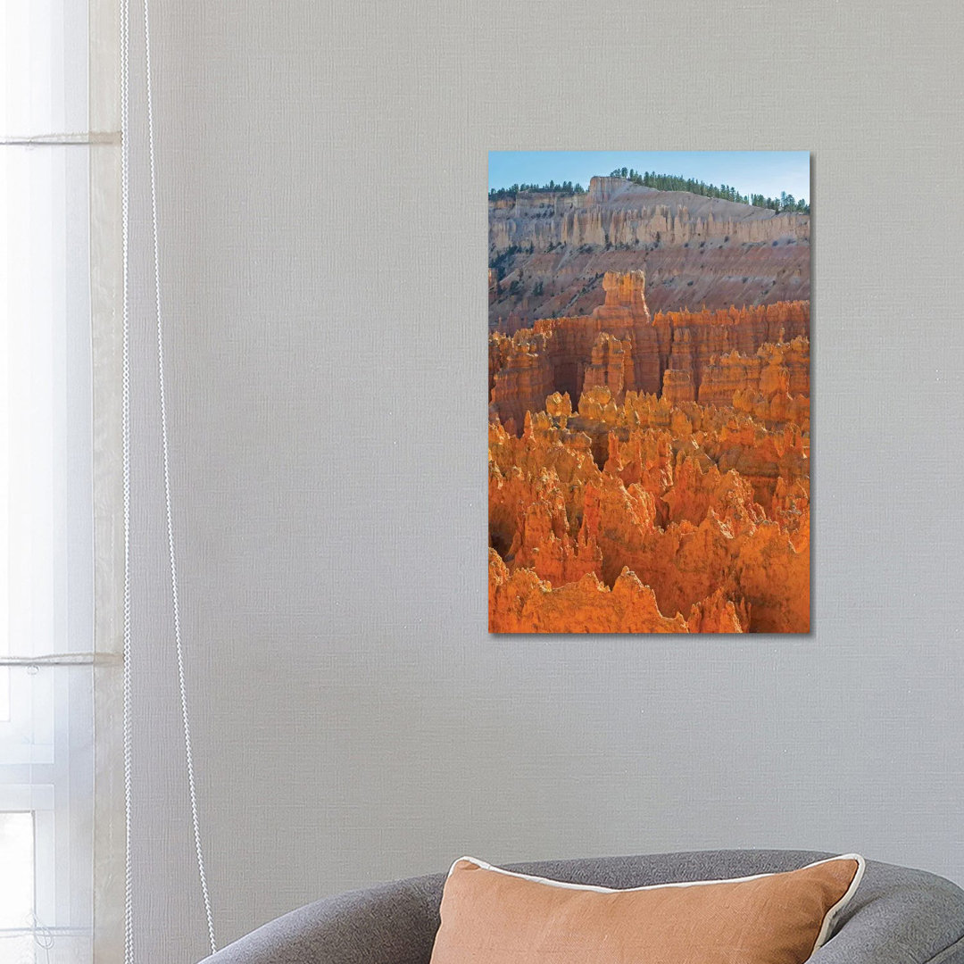 Utah, Bryce Canyon National Park. View Of Canyon With Hoodoos by Jamie & Judy Wild - Wrapped Canvas Print