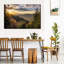 Mossy Rainforest-1880437800