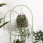 Support pour plante Makelesi
