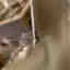 Customer photo 3 of 6