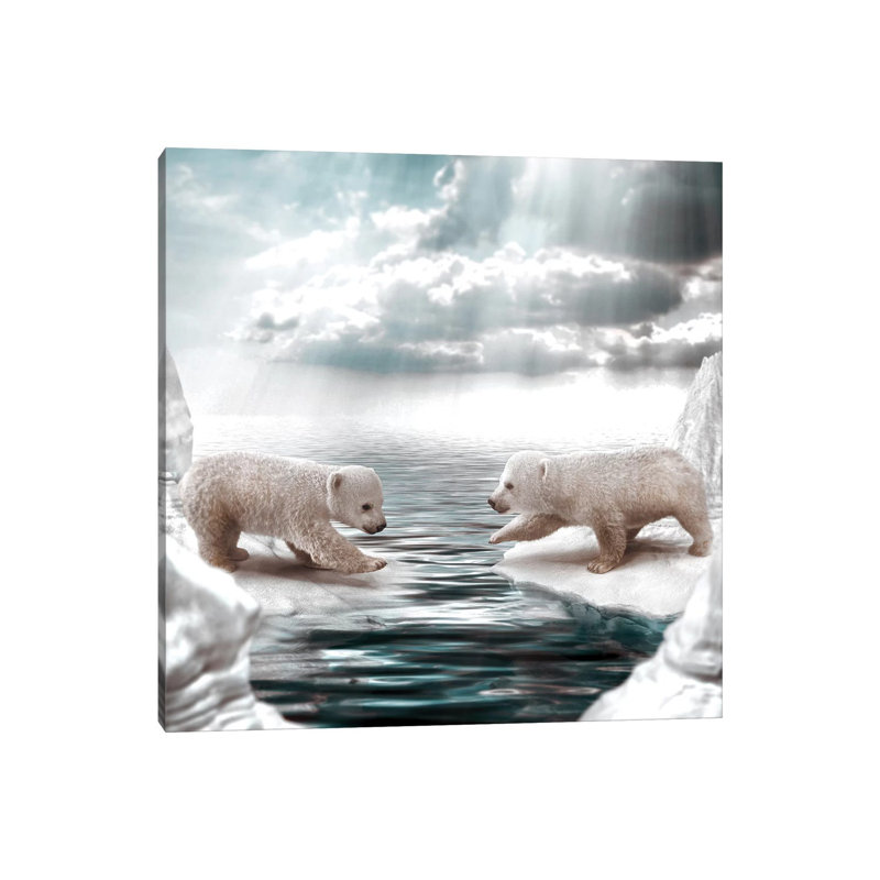 Polar Opposites 1 Piece Wall Art on Canvas, 45.72cm H x 45.72cm W x 3.81cm D, Wrapped Canvas
