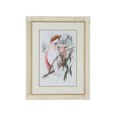 Pastel Parrots I