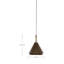 Mona 1 - Light Cone Pendant