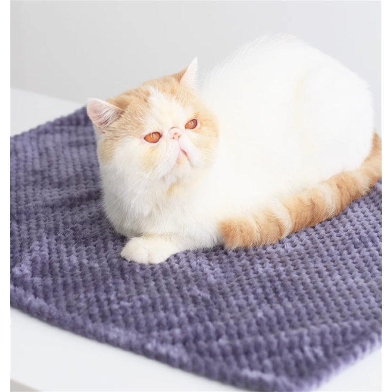 Couverture en flanelle pour animaux