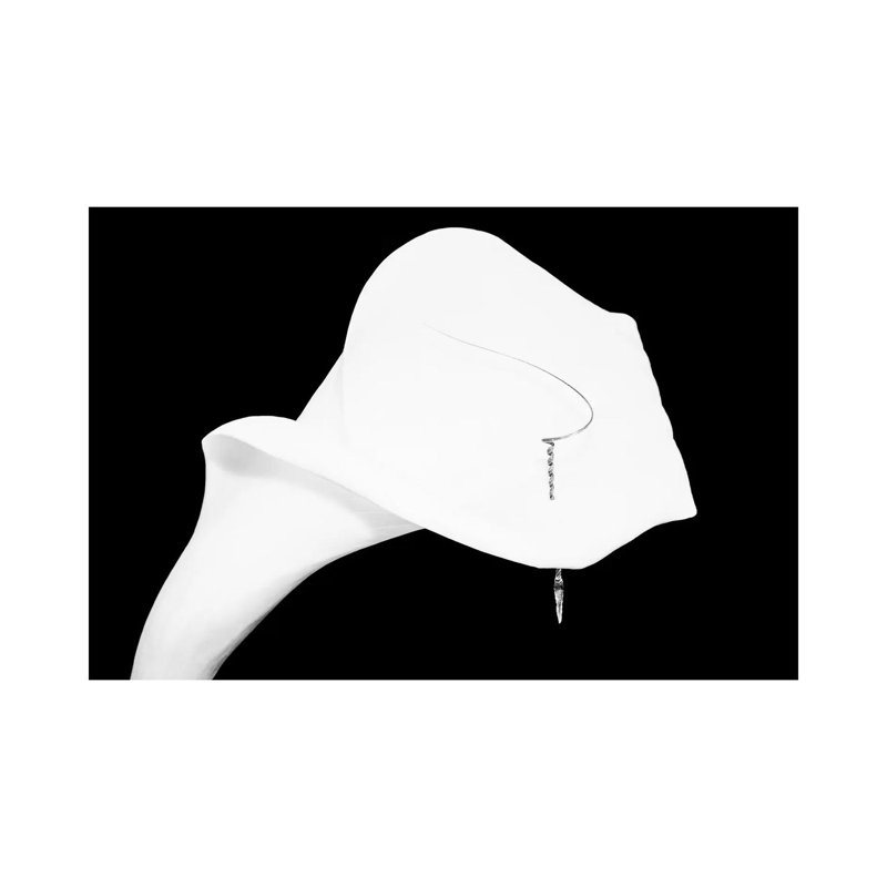 Still Life Shot Of Pierced Calla Lily Flower I by Panoramic Images - Wrapped Canvas Print
